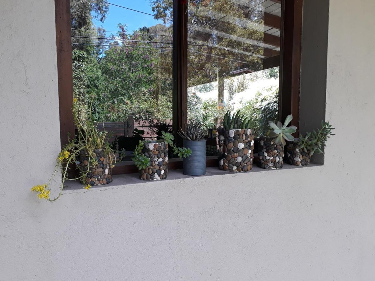 Las Cortaderas Bosque Peralta Ramos Mar del Plata Dış mekan fotoğraf