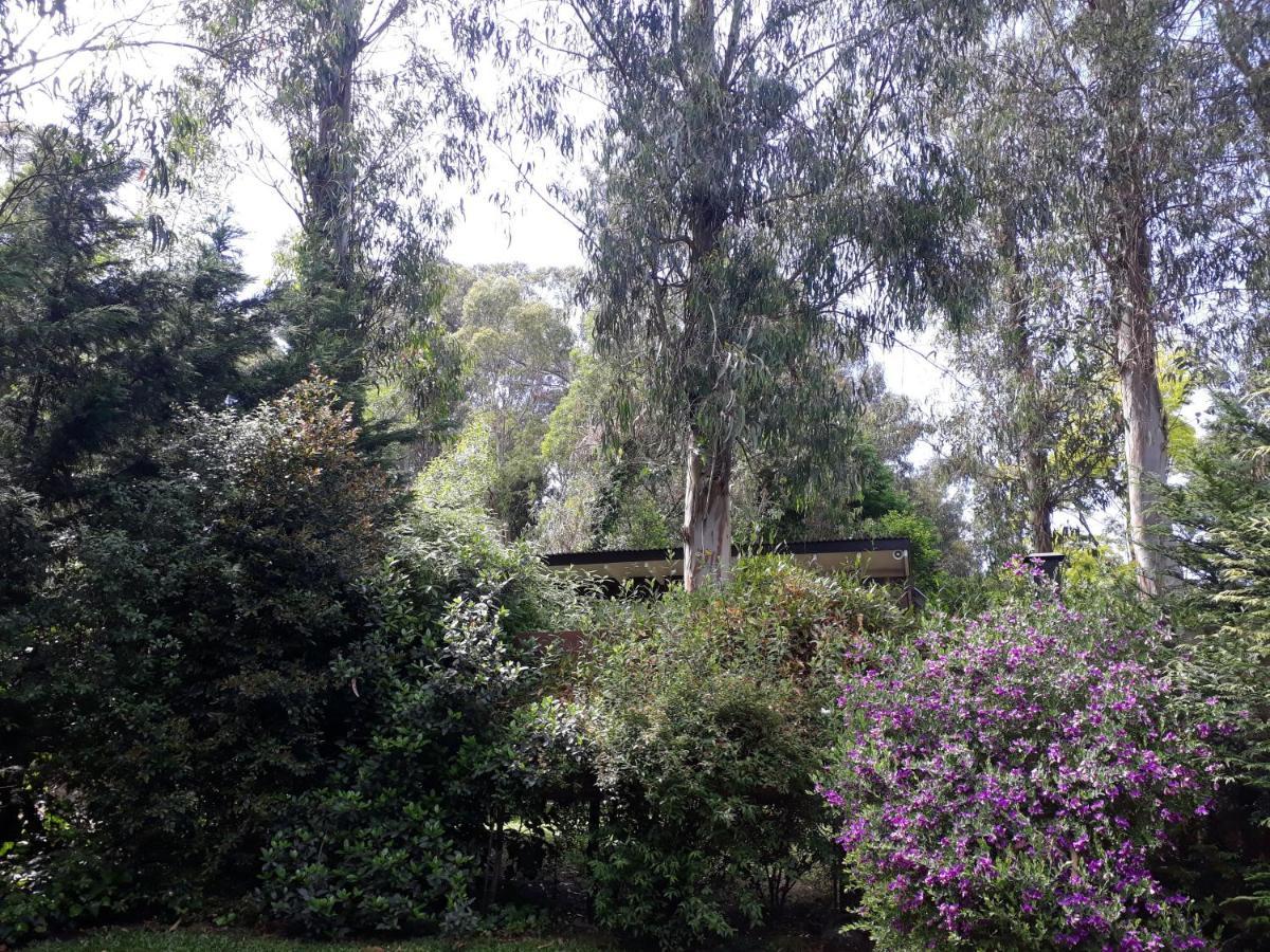 Las Cortaderas Bosque Peralta Ramos Mar del Plata Dış mekan fotoğraf