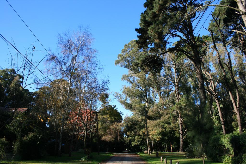 Las Cortaderas Bosque Peralta Ramos Mar del Plata Dış mekan fotoğraf